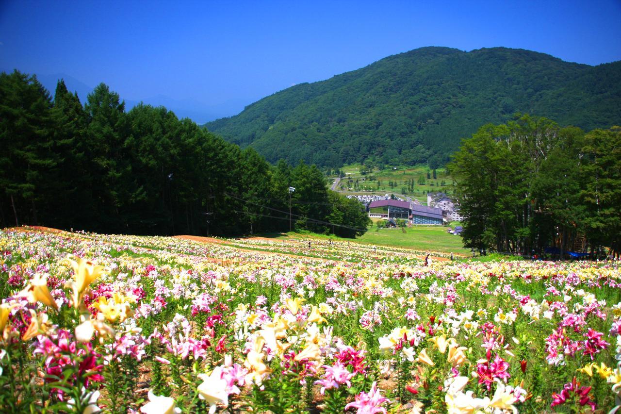 Hotel Harvest Madarao Shinano  Esterno foto