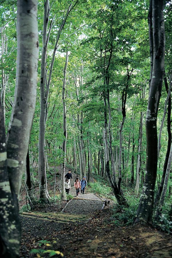 Hotel Harvest Madarao Shinano  Esterno foto